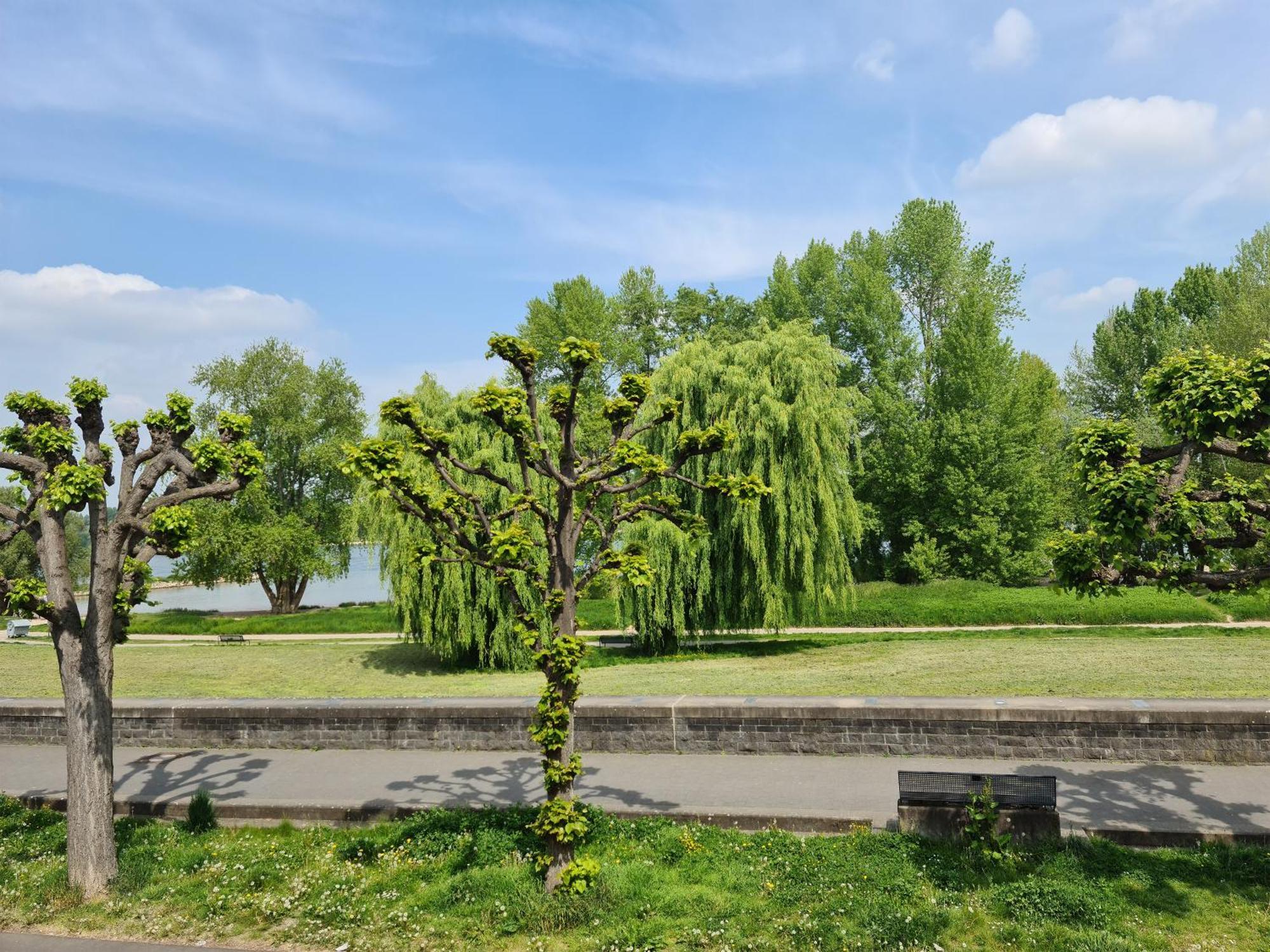 Villahotel Rheinblick Kolonia Zewnętrze zdjęcie