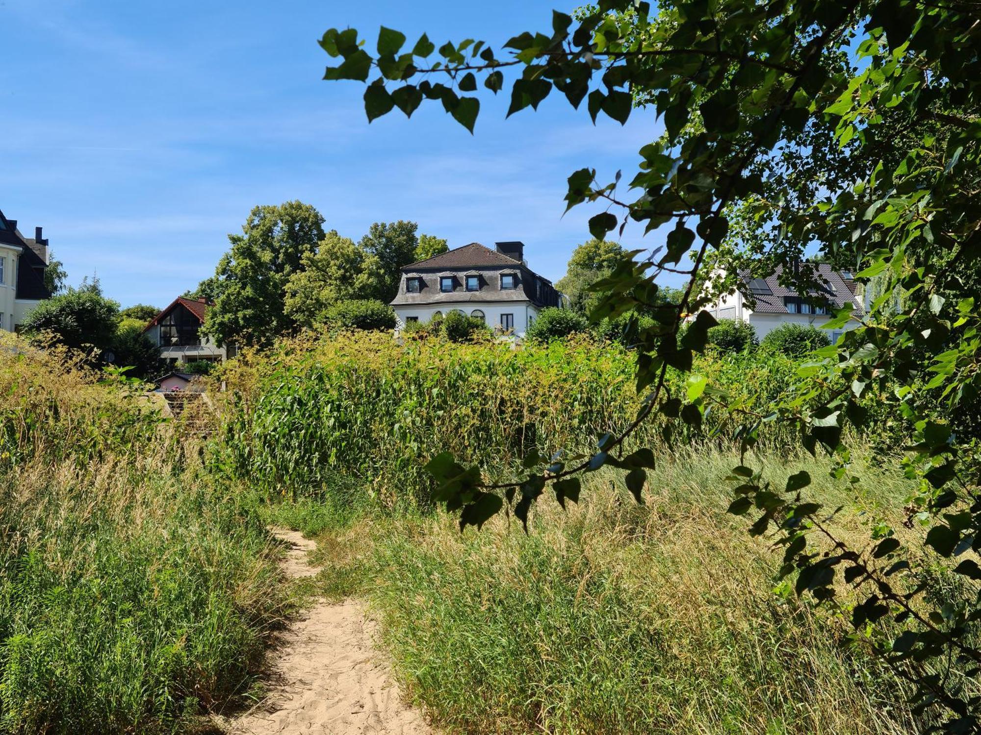 Villahotel Rheinblick Kolonia Zewnętrze zdjęcie